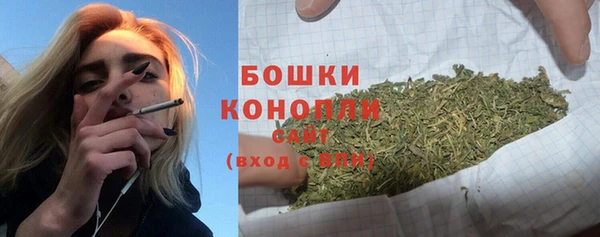 стаф Бронницы