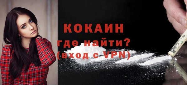 стаф Сосновый Бор