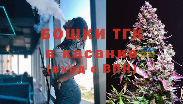 spice Бородино