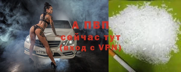 стаф Бронницы