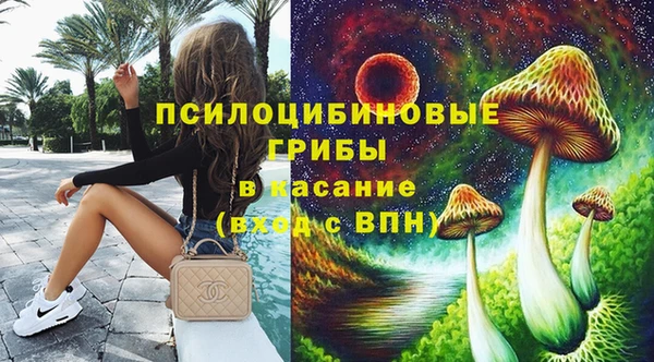 стаф Бронницы