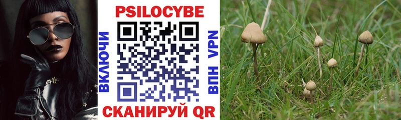 Псилоцибиновые грибы MAGIC MUSHROOMS  сайты даркнета телеграм  Ростов-на-Дону 
